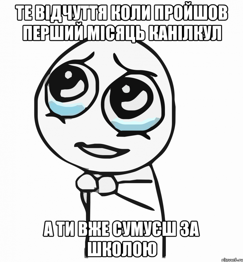 Те відчуття коли пройшов перший місяць канілкул а ти вже сумуєш за школою, Мем  ну пожалуйста (please)