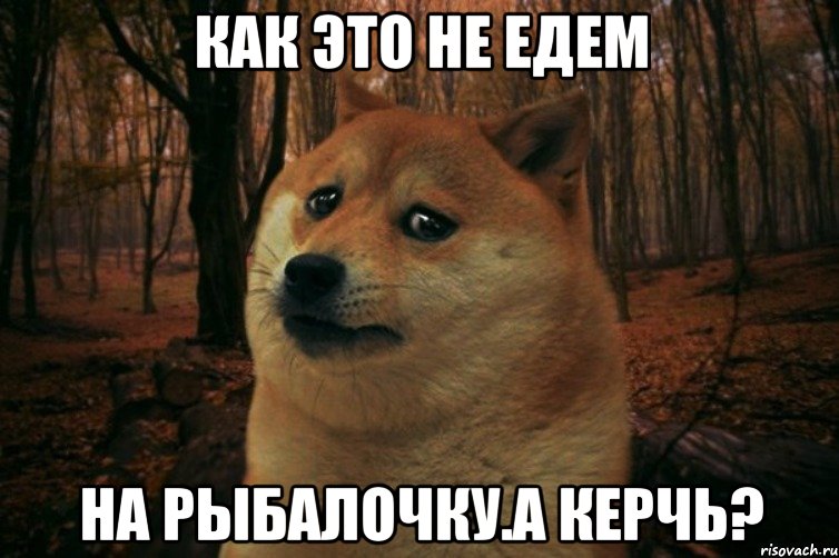 Как это не едем На рыбалочку.А Керчь?, Мем SAD DOGE