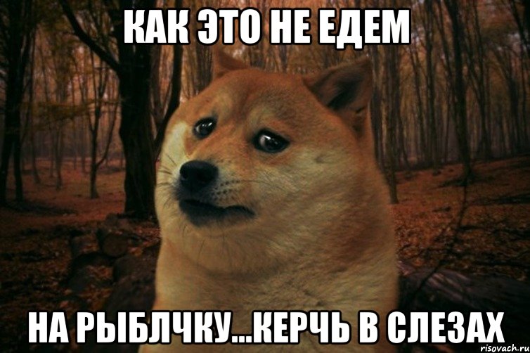 Как это не едем На рыблчку...Керчь в слезах, Мем SAD DOGE