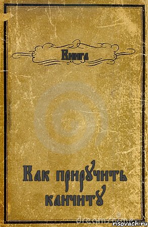 Книга Как приручить канчиту, Комикс обложка книги