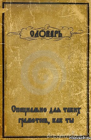 СЛОВАРЬ Специально для таких грамотеев, как ты, Комикс обложка книги