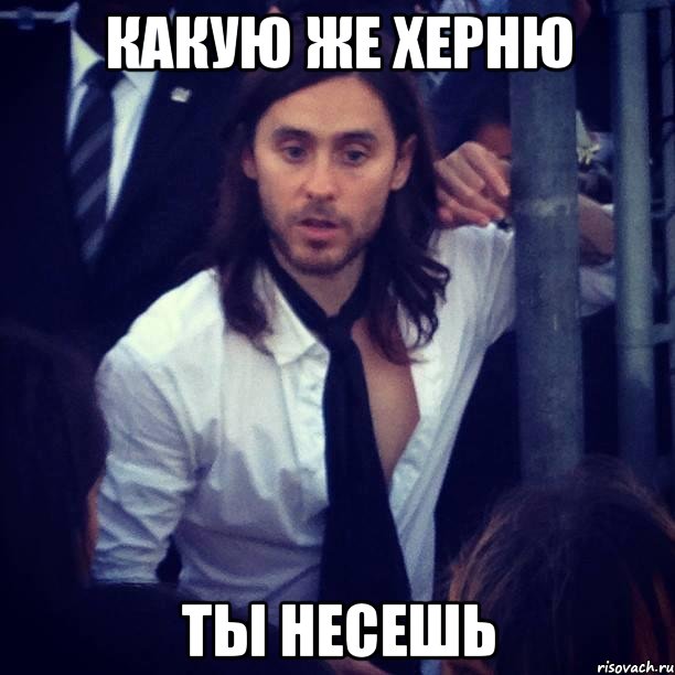 КАКУЮ ЖЕ ХЕРНЮ ТЫ НЕСЕШЬ