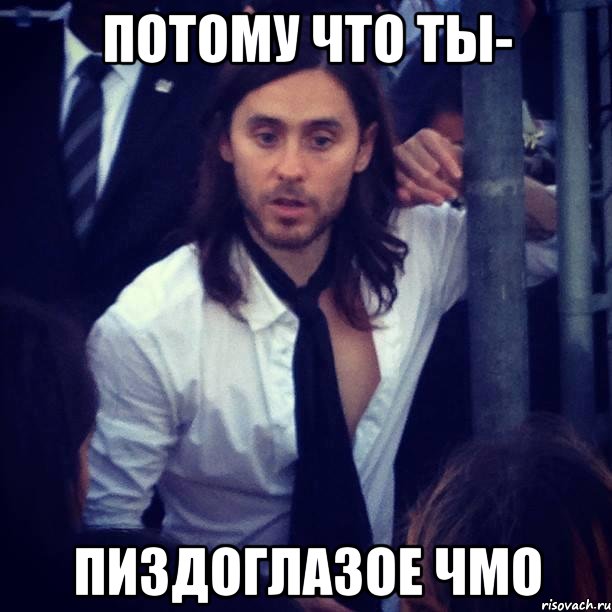 ПОТОМУ ЧТО ТЫ- ПИЗДОГЛАЗОЕ ЧМО