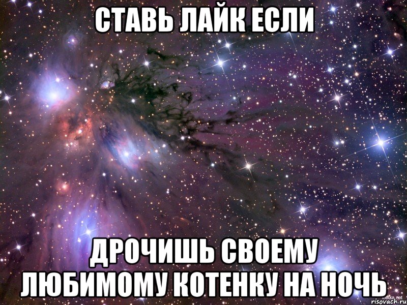 Ставь лайк если дрочишь своему любимому котенку на ночь, Мем Космос