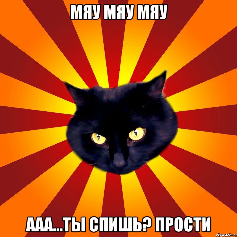 мяу мяу мяу ааа...ты спишь? прости
