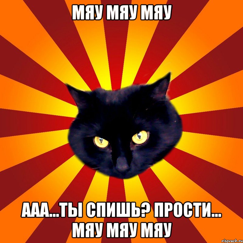 мяу мяу мяу ааа...ты спишь? прости... мяу мяу мяу