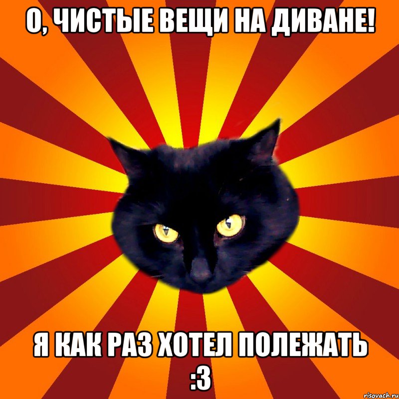 о, чистые вещи на диване! я как раз хотел полежать :3