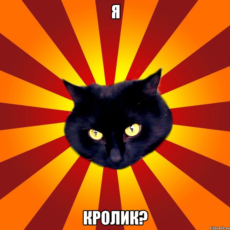 Я Кролик?