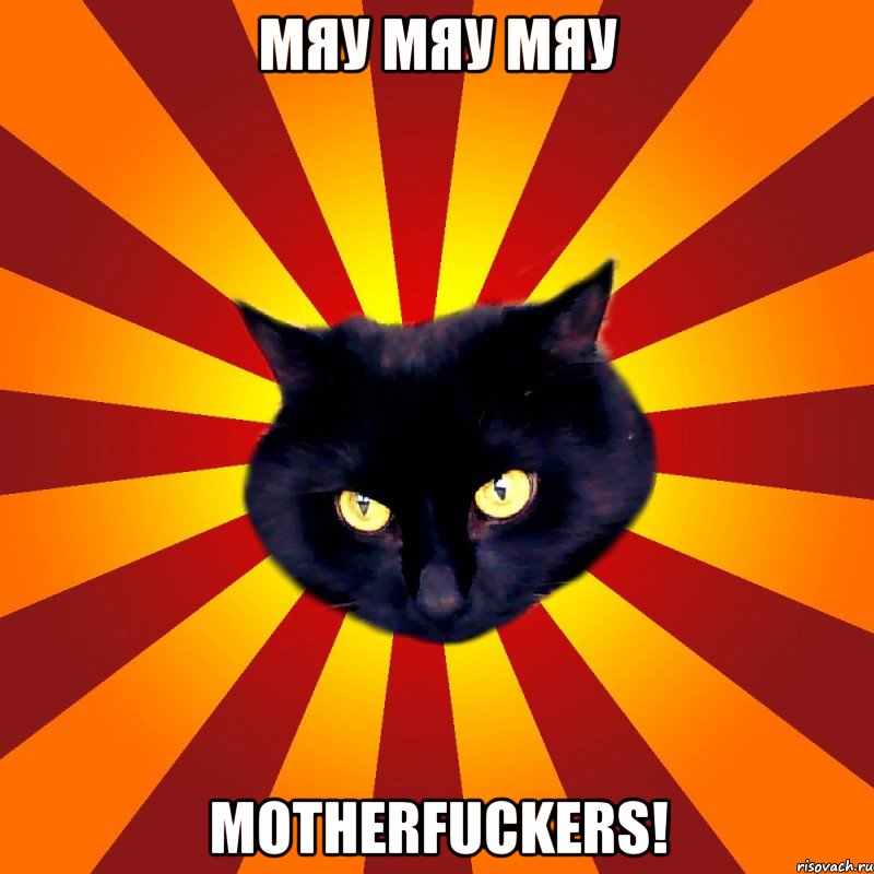 мяу мяу мяу motherfuckers!