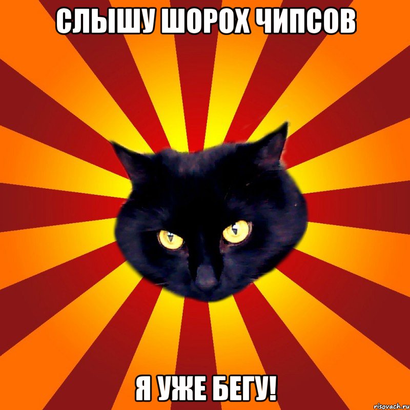 слышу шорох чипсов я уже бегу!