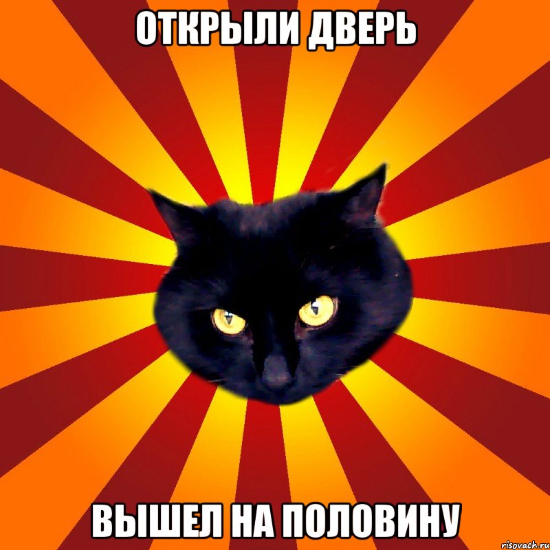 Открыли дверь Вышел на половину