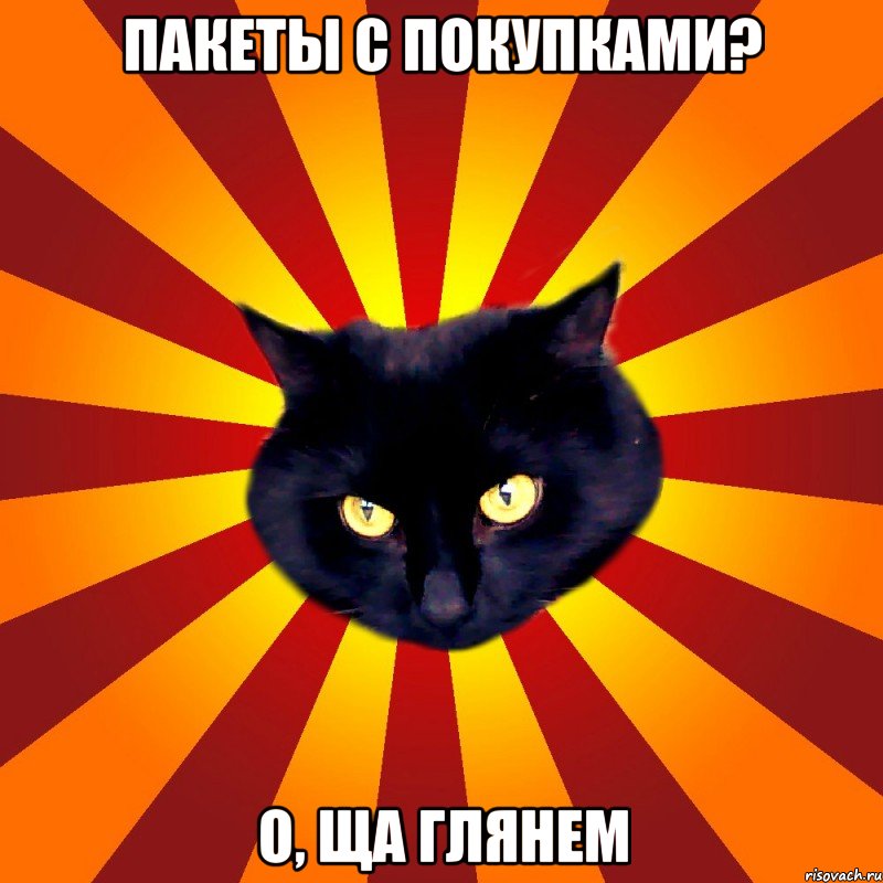 Пакеты с покупками? О, ща глянем