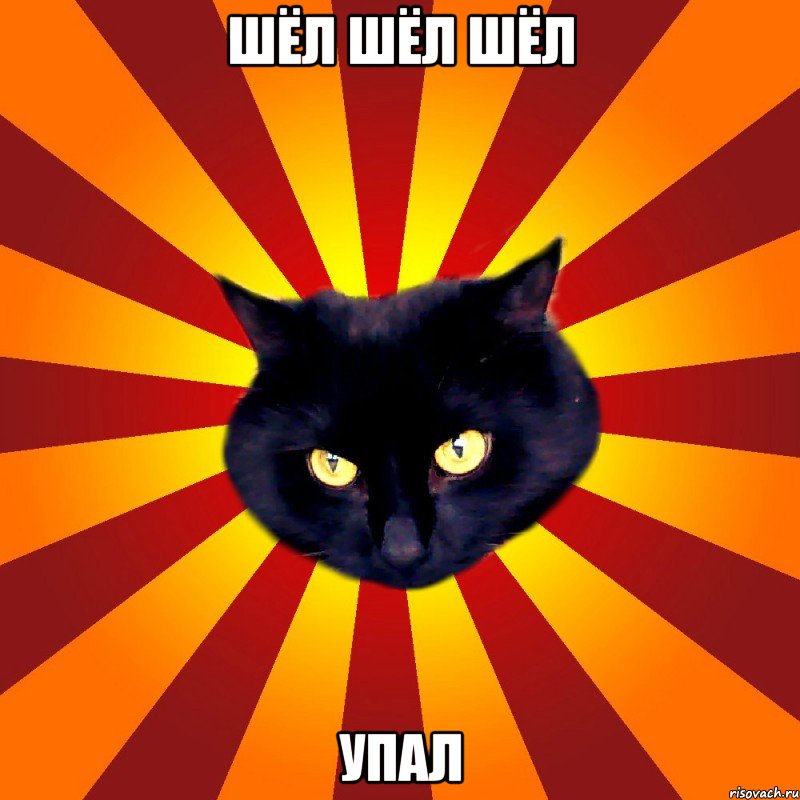 Шёл Шёл Шёл Упал