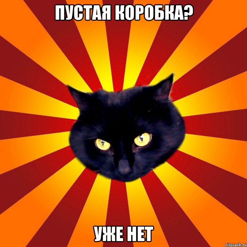 Пустая коробка? Уже нет