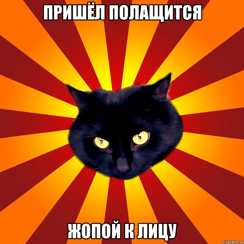 Пришёл полащится Жопой к лицу