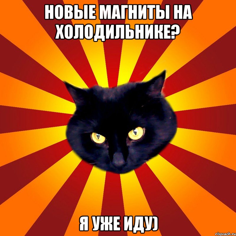 Новые магниты на холодильнике? Я уже иду)