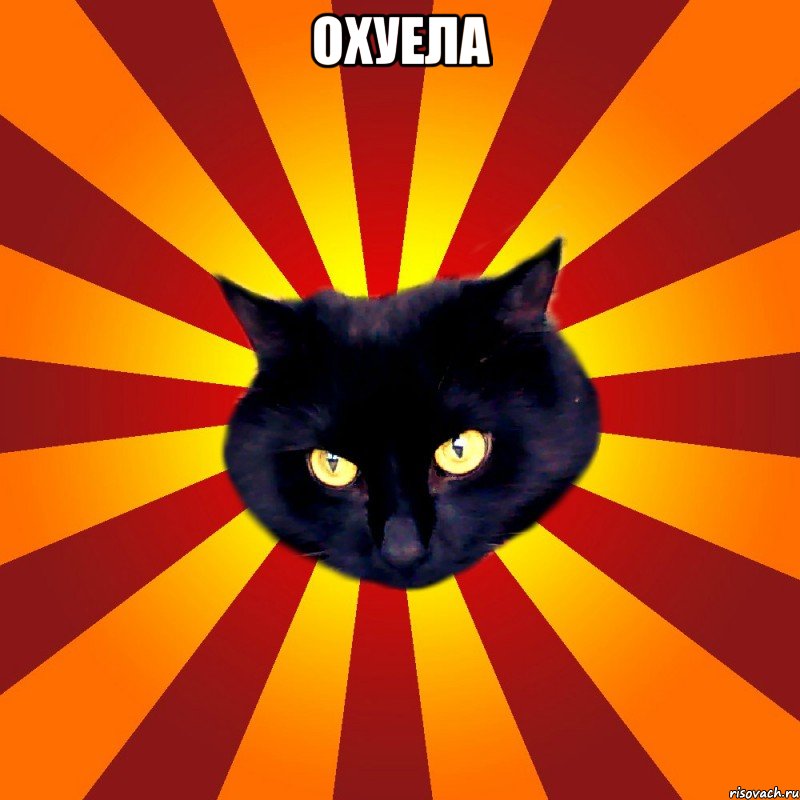 охуела 