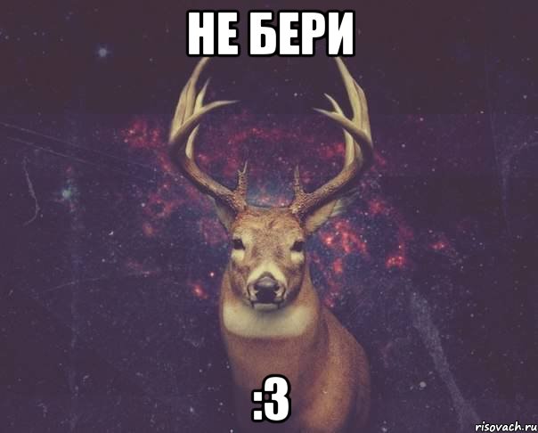 не бери :3, Мем  олень наивный