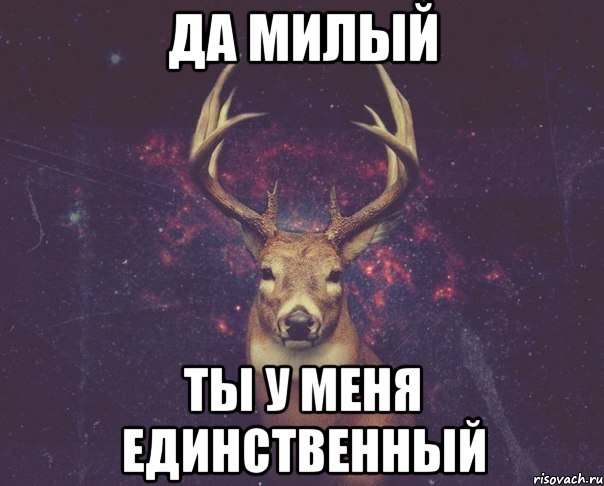 Да милый ты у меня единственный, Мем  олень наивный