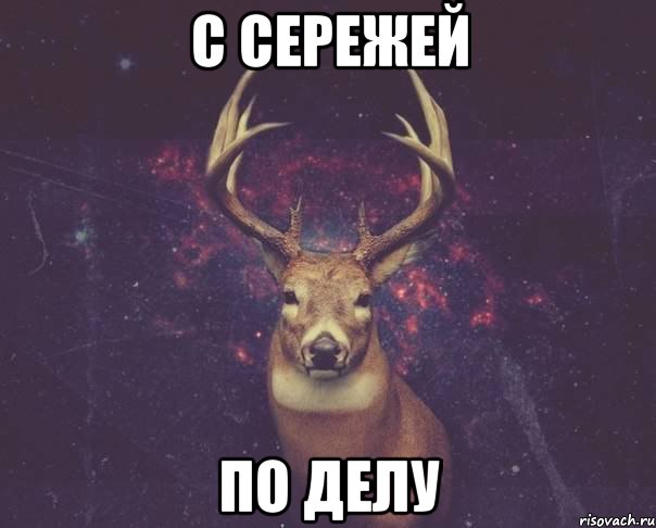 с сережей по делу