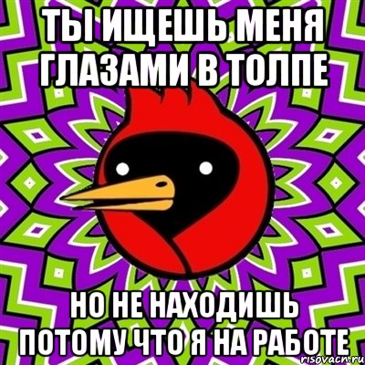 ты ищешь меня глазами в толпе но не находишь потому что я на работе, Мем Омская птица