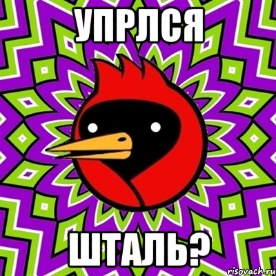 Упрлся шталь?, Мем Омская птица