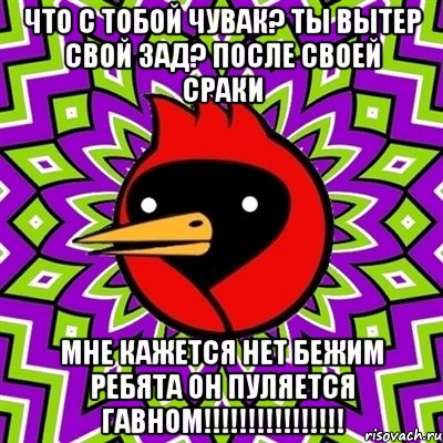 что с тобой чувак? ты вытер свой зад? после своей сраки мне кажется нет бежим ребята он пуляется гавном!!!!!!!!!!!!!!!!, Мем Омская птица