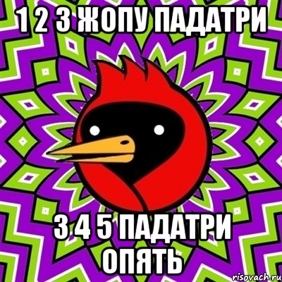 1 2 3 жопу падатри 3 4 5 падатри опять, Мем Омская птица