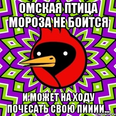 омская птица мороза не боится и может на ходу почесать свою пииии..., Мем Омская птица