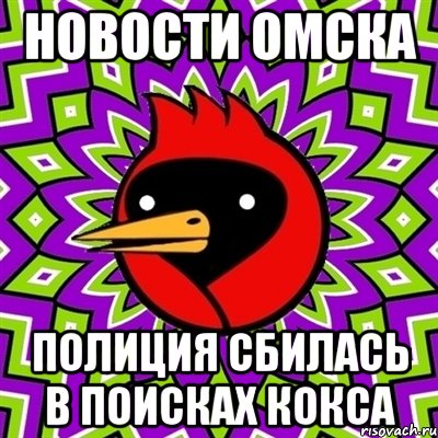 Новости Омска Полиция сбилась в поисках кокса, Мем Омская птица