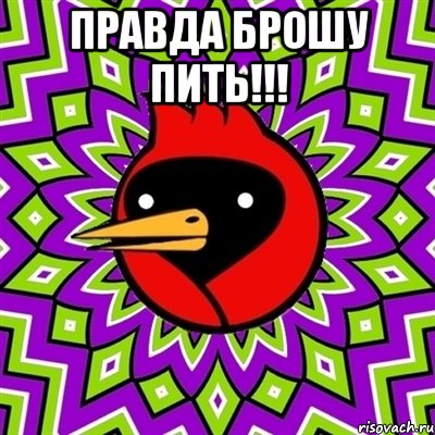 Правда брошу пить!!! , Мем Омская птица