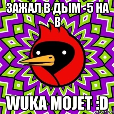 Зажал в дым -5 на B wuka mojet :D, Мем Омская птица