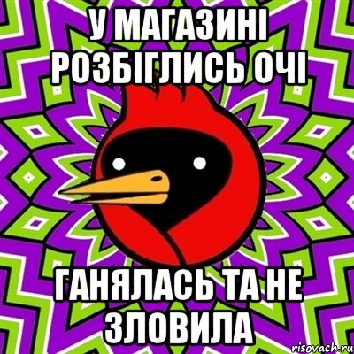 у магазині розбіглись очі ганялась та не зловила, Мем Омская птица