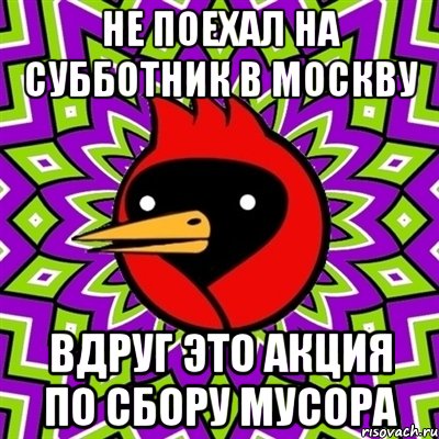 не поехал на субботник в москву вдруг это акция по сбору мусора, Мем Омская птица