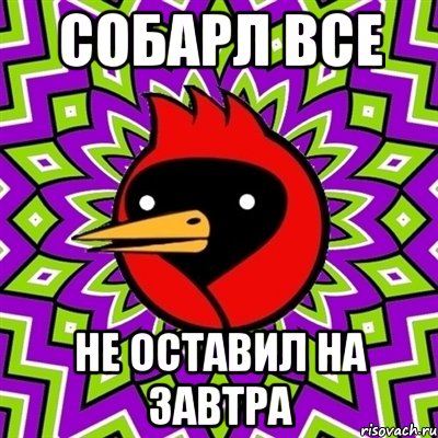 собарл все не оставил на завтра, Мем Омская птица