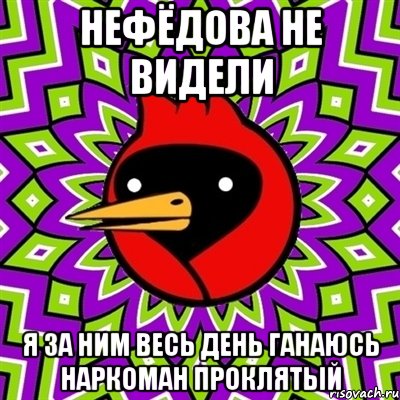 нефёдова не видели я за ним весь день ганаюсь наркоман проклятый, Мем Омская птица