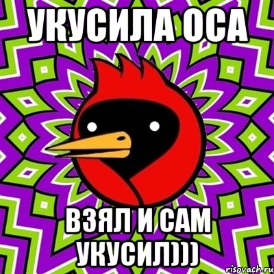 Укусила оса Взял и сам укусил))), Мем Омская птица