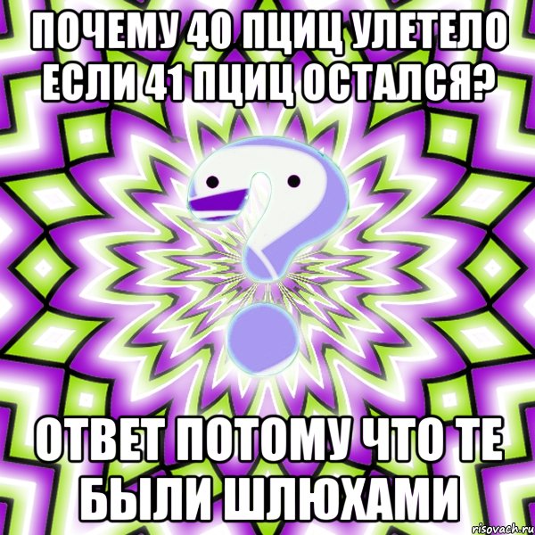 почему 40 пциц улетело если 41 пциц остался? ответ потому что те были шлюхами, Мем Омская загадка