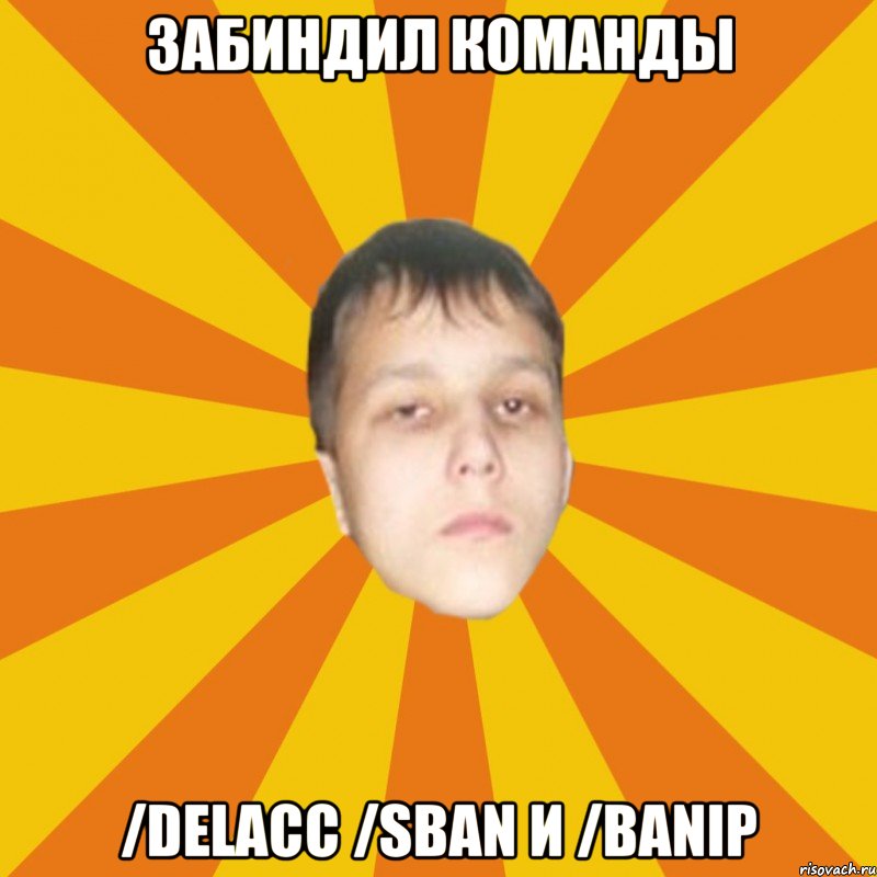 Забиндил команды /delacc /sban и /banip