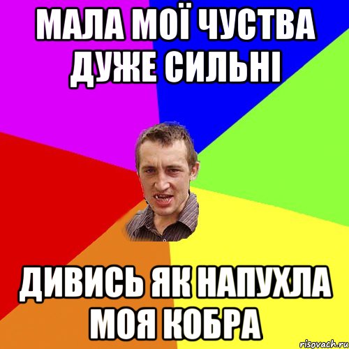 МАЛА МОЇ ЧУСТВА ДУЖЕ СИЛЬНІ ДИВИСЬ ЯК НАПУХЛА МОЯ КОБРА, Мем Чоткий паца