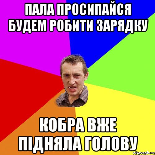 ПАЛА ПРОСИПАЙСЯ БУДЕМ РОБИТИ ЗАРЯДКУ КОБРА ВЖЕ ПІДНЯЛА ГОЛОВУ, Мем Чоткий паца