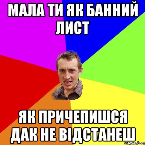 Мала ти як Банний лист Як причепишся дак не відстанеш, Мем Чоткий паца