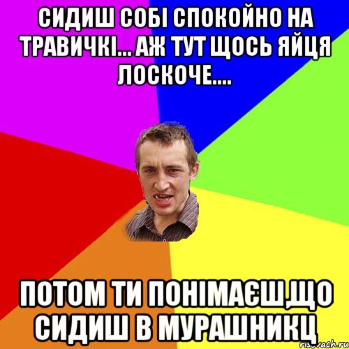 Сидиш собі спокойно на травичкі... Аж тут щось яйця лоскоче.... Потом ти понімаєш,що сидиш в мурашникц, Мем Чоткий паца