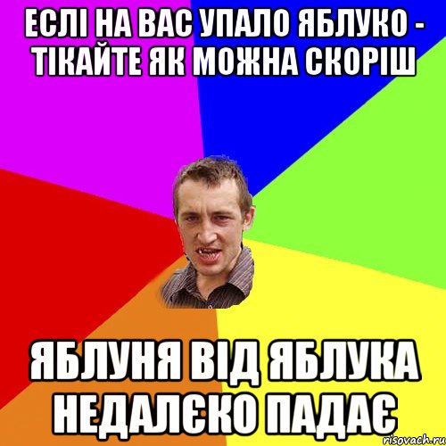 еслі на вас упало яблуко - тікайте як можна скоріш яблуня від яблука недалєко падає, Мем Чоткий паца