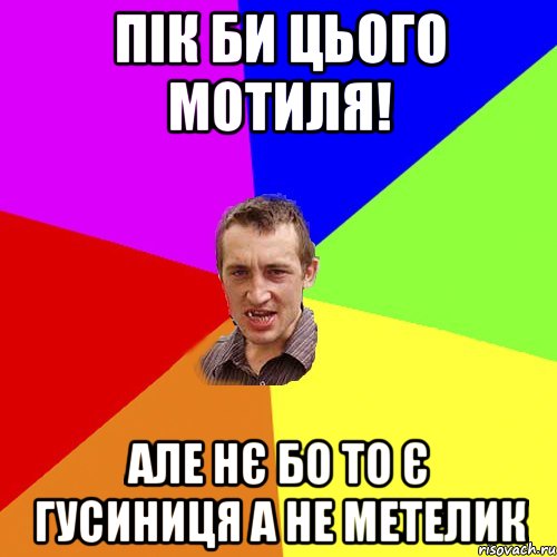 Пік би цього мотиля! Але нє бо то є гусиниця а не метелик, Мем Чоткий паца