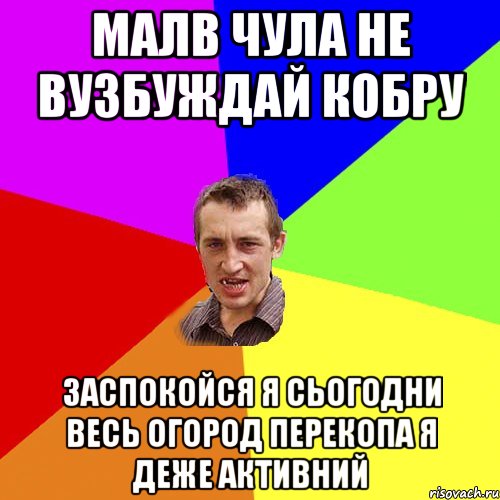 малв чула не вузбуждай кобру заспокойся я сьогодни весь огород перекопа я деже активний, Мем Чоткий паца