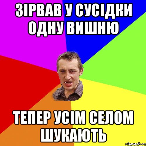 Зірвав у сусідки одну вишню Тепер усім селом шукають, Мем Чоткий паца