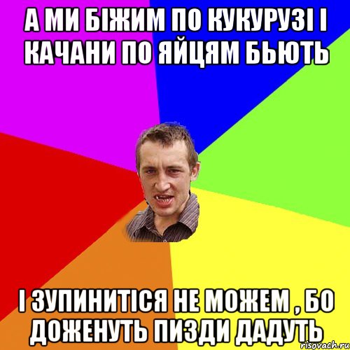 а ми біжим по кукурузі і качани по яйцям бьють і зупинитіся не можем , бо доженуть пизди дадуть, Мем Чоткий паца