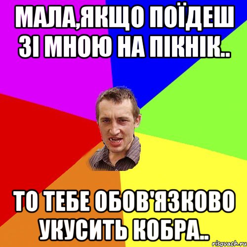 мала,якщо поїдеш зі мною на пікнік.. то тебе обов'язково укусить кобра.., Мем Чоткий паца