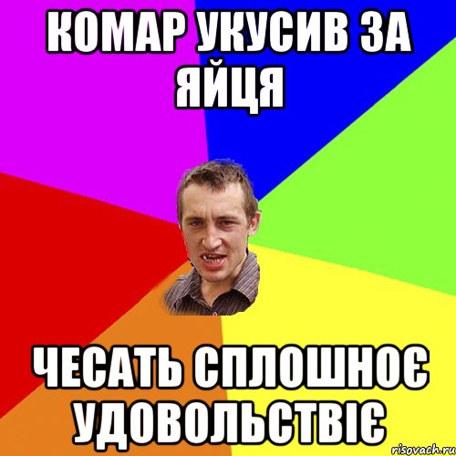 КОМАР УКУСИВ ЗА ЯЙЦЯ ЧЕСАТЬ СПЛОШНОЄ УДОВОЛЬСТВІЄ, Мем Чоткий паца